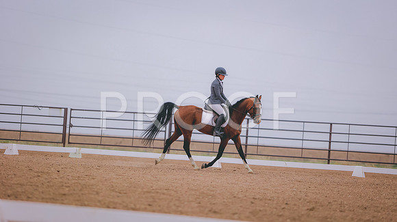 0N0A0603 copy