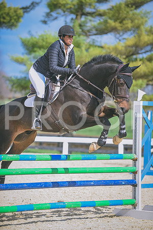 DSC_0801 copy