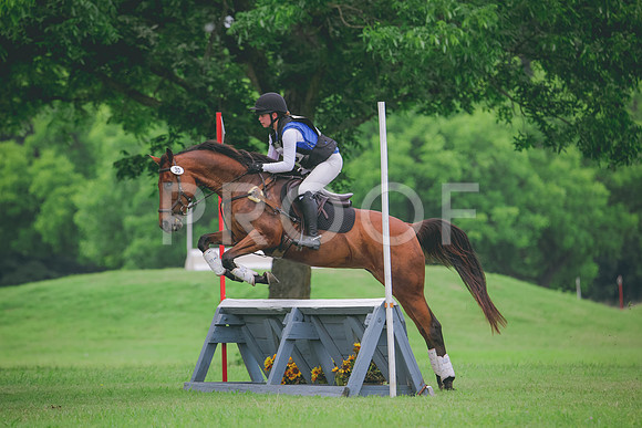 RWP_2462
