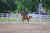 ABY_1286
