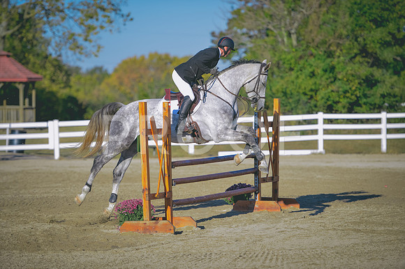 DSC_2455