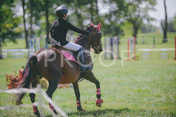 JJS_0894