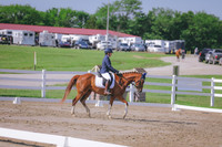 ABY_1466