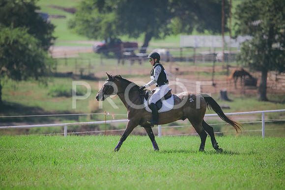 RWP_6411