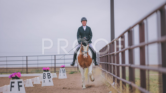 0N0A0331