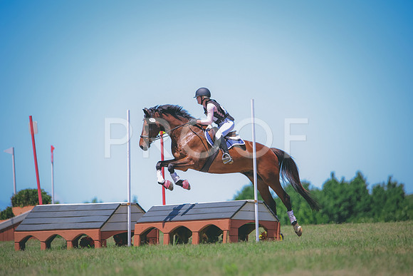 RWP_0833