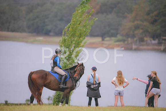 RWP_2732