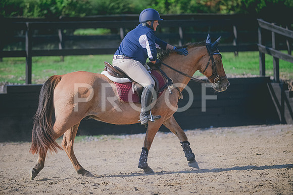 JJS_7374A