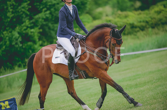 JJS_0672