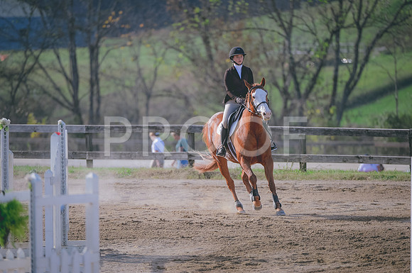 JJS_8497