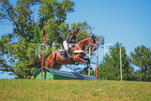 TKP_1347