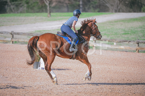 JJS_0264