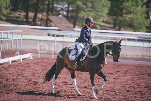 DSC_8654