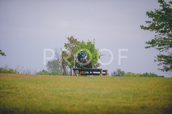 JJS_4131