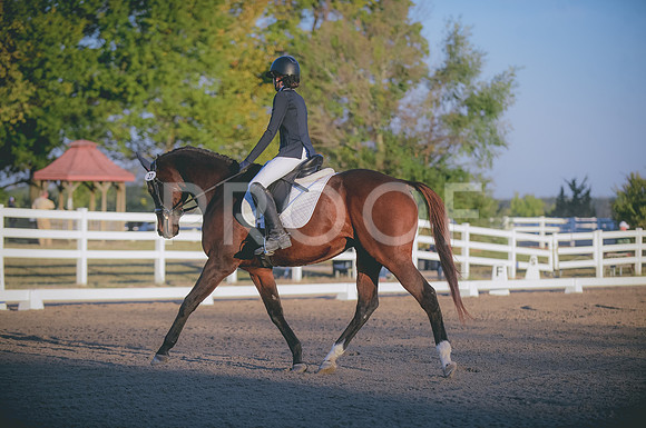 JJS_0643