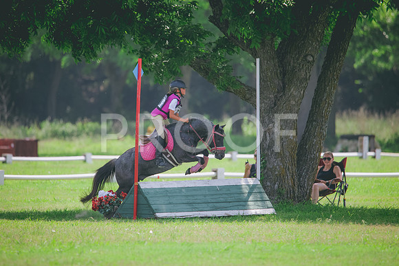 RWP_4338