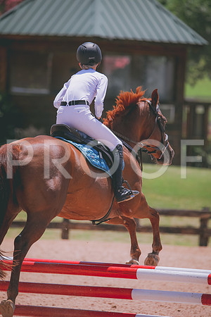 RWP_5594