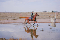 CDH_9767