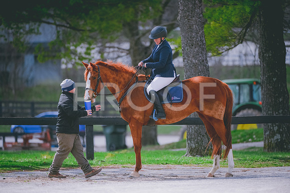 JJS_1394