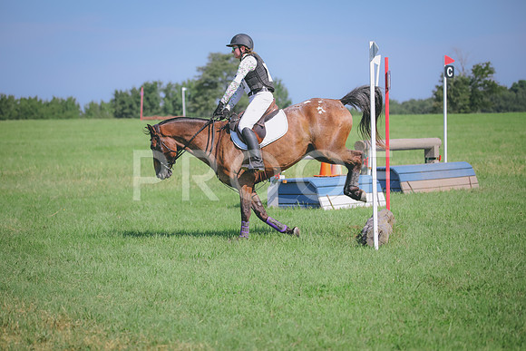 RWP_6431