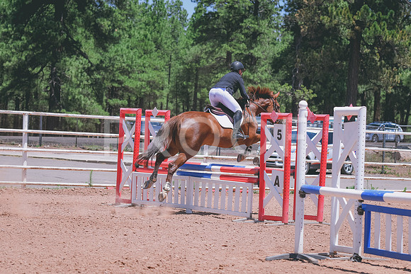 DSC_6111A