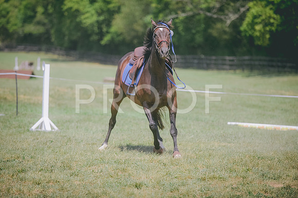 JJS_4717A