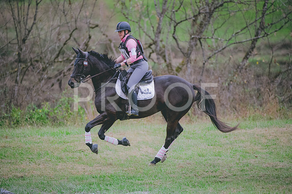JJS_1488