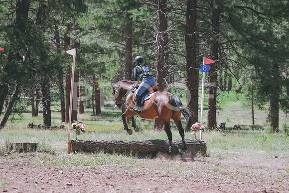 DSC_1107