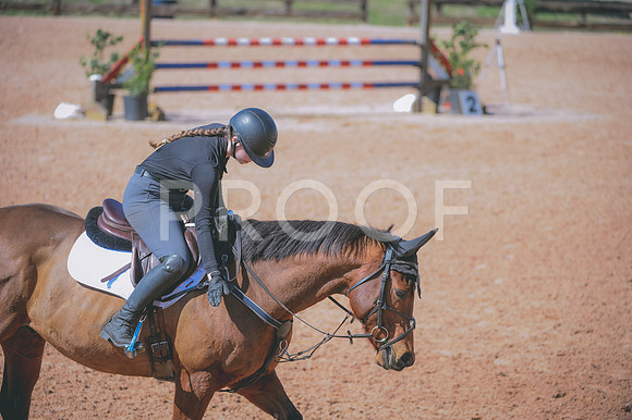 JJS_3645
