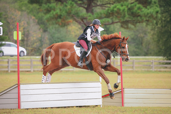 RWP_3446