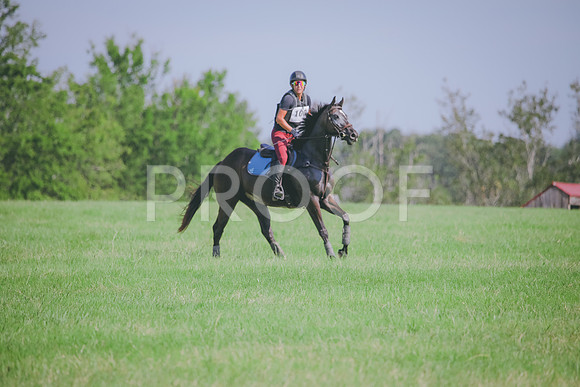 RWP_6461