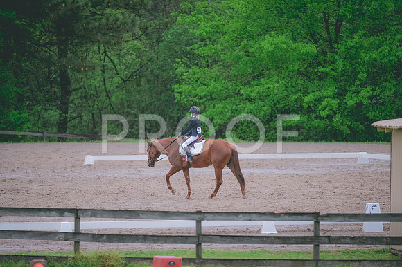 JJS_3199