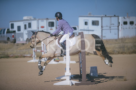 JJS_3514