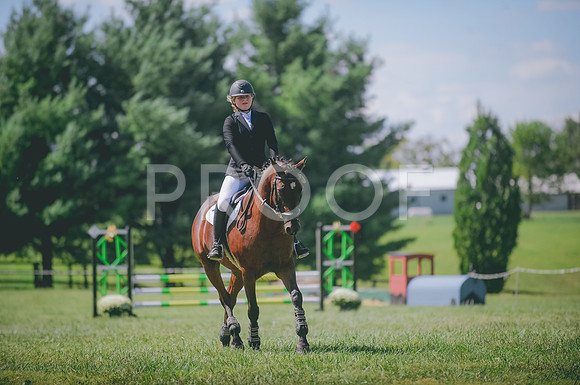 JJS_0682