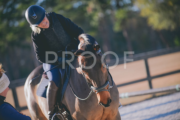 JJS_1413