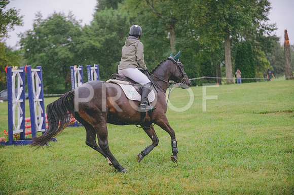 JJS_7441