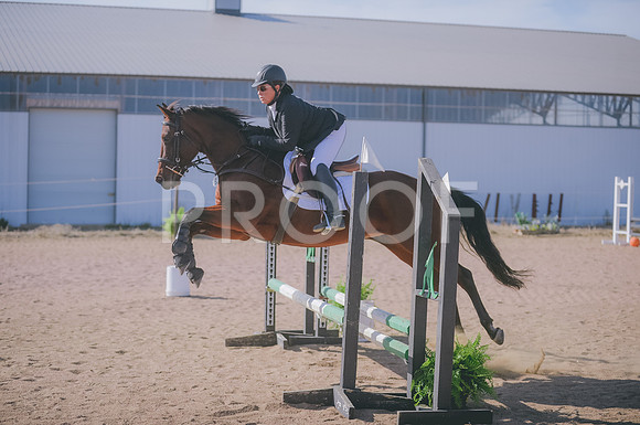 JJS_2543