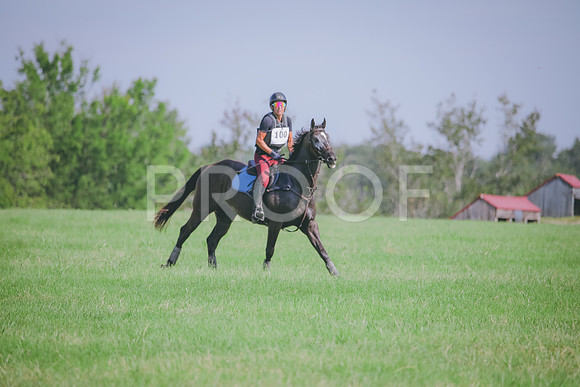 RWP_6462