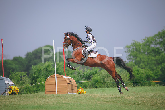 RWP_1581