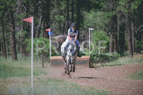 JJS_2914