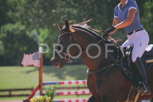 RWP_4972