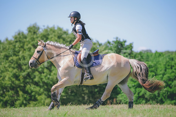 RWP_1187