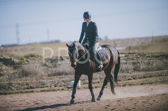 JJS_2702