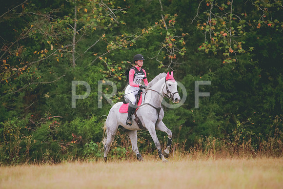 RWP_2470A