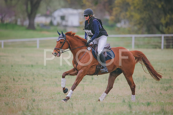 RWP_8318