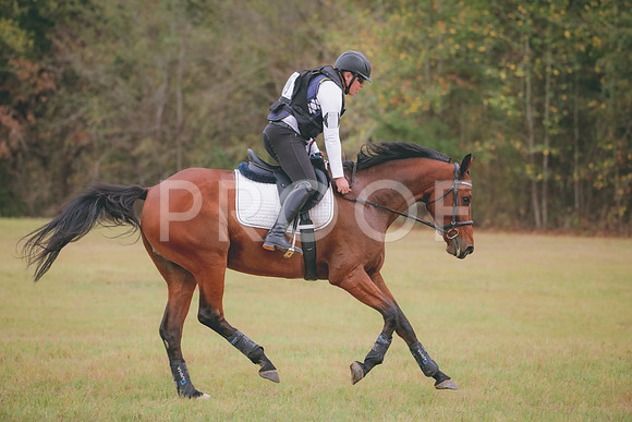 RWP_3722