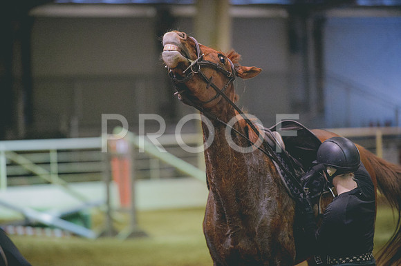JJS_2985