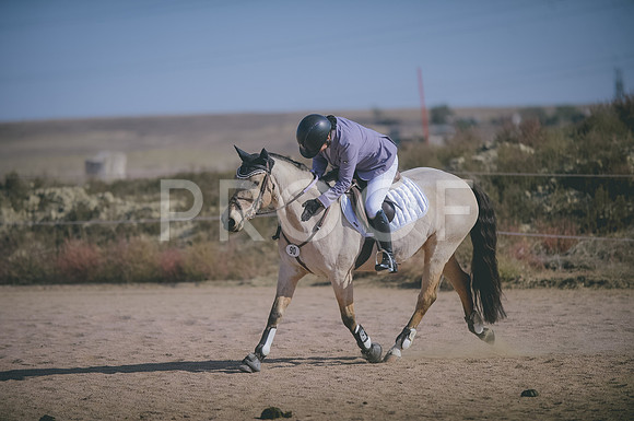 JJS_3561