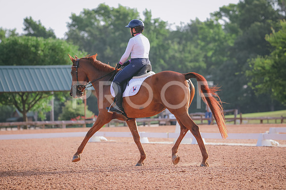 RWP_4288