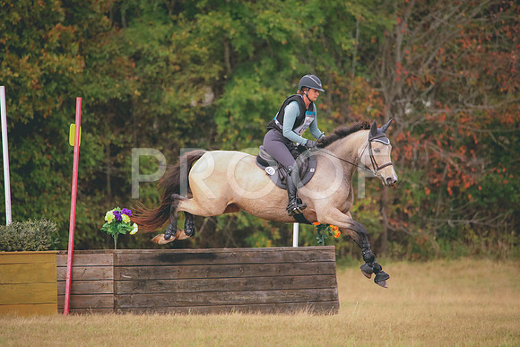 RWP_2956